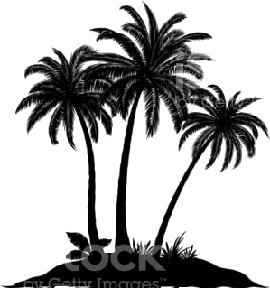 Palmen am Niederrhein